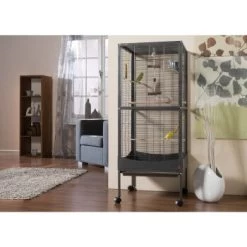 MORE FOR Voliere Melbourne -Zoofachgeschäft b5818695550706136f7f9bc41c13337fbb9b6560 b05875106c0e41c332cac4ad7c06ddbd9b82b6a9