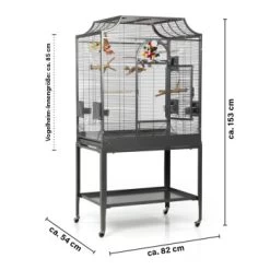 Montana Cages Voliere Madeira II Dunkelgrau -Zoofachgeschäft b6069bd0e8efbbecb820b86479efcb00324d52e9 1011602 de DE cc36261b6340a0a166d8593c576822d873114e0drQW25I