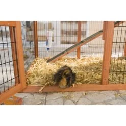 Trixie Nagerstall Natura Mit Auslauf -Zoofachgeschäft ba3a0bf8ca9f170c93bb20d8b9a1c996fc62f60a 018fa5b7bc6a586c5b399fb3273b0bd2829eee6a