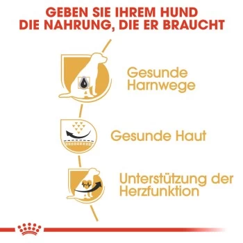 ROYAL CANIN Dalmatian Adult 12 Kg 6 ROYAL CANIN Dalmatian Adult 12 Kg – Bild 4