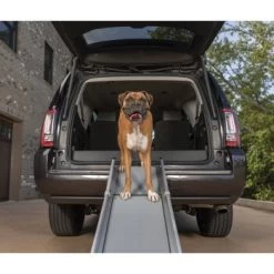 PetSafe Happy Ride Teleskop-Hunderampe -Zoofachgeschäft babae185f5393056b26e591fc5ce31f63a798c24 1481152 de DE eebd6cebb01ac656592f9756726d28efa0c57612r2442Y