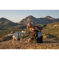 Ruffwear Swamp Cooler™ Geschirr Violett L-XL -Zoofachgeschäft bb26cdd896074e6ea6b83a2e11f4b6cb5c7a08c9 1651453 de DE 0738621222b34f456fd2a616a7dc06e6b24f57112NyqMj