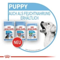 ROYAL CANIN Medium Puppy 10x140g -Zoofachgeschäft bc3f92646659ab6935de7e665d9d8b81c0b7c9cf 3a53132540880784da6eadc00c0e47ffd800aa3d