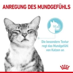 ROYAL CANIN SENSORY Feel In Soße Für Wählerische Katzen 12x85g -Zoofachgeschäft c128f8c89bd7181f0c4af05f4deed48189289603 26121dc7cea8560a4abd2f51cb00aaa0221beb85