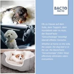 ChronoBalance BactoFacto Probiotischer Geruchsstopp Pads Für 2 Liter 20 Ml 13 ChronoBalance BactoFacto Probiotischer Geruchsstopp Pads Für 2 Liter 20 Ml -Zoofachgeschäft c27e75fc226c89e592b2af9866887997e79057a8 1397549 de DE 11eaf103bff429178d8c79950fc83faf63345183BU6JEF