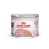 ROYAL CANIN Mother & Babycat Mousse 12x195 G -Zoofachgeschäft c32fc0cfebd8f5e89e3cbdf6c7b8a5d0108f587c 9003579002667 12