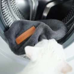 Schlitzohr Ersatzbezug Fensterbankliege -Zoofachgeschäft c44f5fad67fab64db3ef26e146c719a3d2389fbc 1484679 de DE 38c69d6b10c531d0e387a2779b1fe95849f4182emjKnBo