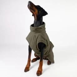 THE DOG IDEA Bademantel Every Khaki XXXS 10 THE DOG IDEA Bademantel Every Khaki XXXS -Zoofachgeschäft c6567ee5fa23ab9a22b56936e6d4134ee2acea14 1473018 de DE 152849e6e27b535b9a56967a3d0992ac03ebbc6b46CQen