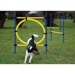 Dobar 3-teiliges Agility Sprung-Set,, Inkl. Tragetasche 10 Dobar 3-teiliges Agility Sprung-Set,, Inkl. Tragetasche -Zoofachgeschäft c7c9dd298510f0bd74d586405ecbd396df04c759 313726f2dd166c5ec13855d4374275bbe5eeeeec
