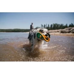 Ruffwear Hydro Plane™ Spielzeug L Blau/ Türkis 19 Ruffwear Hydro Plane™ Spielzeug L Blau/ Türkis -Zoofachgeschäft c85f56c174e45f26bb8b85eb8209e1187b03cb62 1364299 de DE 9aa31f36273b943af3517e0584e57ea49be3ad7aNQkaUi