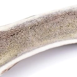 Larsson Halbiertes Geweih M Ca. 80-120g -Zoofachgeschäft c9d8c65887807feab7e9fd201174ea5cd57dfd5e 1057939 de DE 477507e9251d12eafa84137cd6edb88f257510adijBydX