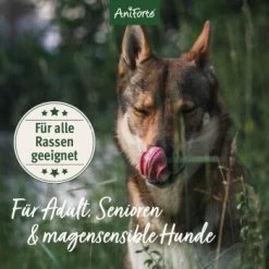 Aniforte Trockenfutter LandChicken - Zartes Huhn Mit Reis 2 Kg -Zoofachgeschäft ccdccba22db20132f6ff6d85dd45b1297bf8942a 1668916 de DE ab8d93a2aba26d4d3d9191665a57d8e6fecc366ahRURHR