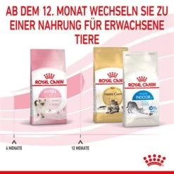 ROYAL CANIN Kitten 4 Kg -Zoofachgeschäft cf133300f1a1c045b6143772211651d61c06ad62 3182550702973 7