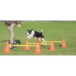Trixie Dog Activity Hindernisse Ø23x30cm -Zoofachgeschäft cf5032631aac0df221da4281f2bf49a2321f1aa1 1287032 de DE Trixie Hindernisse wb 1