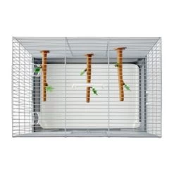 Savic Vogeltransportbox Primo 40 9 Savic Vogeltransportbox Primo 40 -Zoofachgeschäft d0137ead5389abc3a8c42310a827c524b766fe1e e82c8aed5381bd8b3950178b79f9bf677032da65