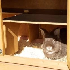 Kerbl Nagerstall Appartement Pro -Zoofachgeschäft d0393ab2c6d0024f1e38155c2064cc1a55cb4c3e aaca8b9b82324f261778e220e8b4c213eb3f4d3d