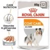 ROYAL CANIN Coat Care 12x85g
