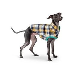 GF Pet Reversible Trail Jacke Grün XXS -Zoofachgeschäft d0d86a70089b79c26342e2430bae8caf960ccaed befa58813c2949e634e5b991f29c2ef187a974fc