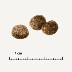 REAL NATURE WILDERNESS Adult Probierpaket Mixpaket 1, Mix-Pack -Zoofachgeschäft d13ec079dfc733868201f90c68c1160fb8a8b3ec 1267094 de DE 6