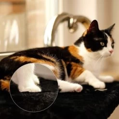 Lionto Katzenliege Für Fensterbank Schwarz 8 Lionto Katzenliege Für Fensterbank Schwarz -Zoofachgeschäft d381822ef5a95c89b1fff706447b9d97f29f0c7f 1665905 de DE 5457dd2248cdfada4018574e89708e1db05800ecjUEbgx