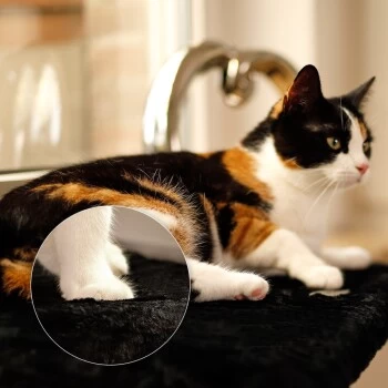 Lionto Katzenliege Für Fensterbank Schwarz 4 Lionto Katzenliege Für Fensterbank Schwarz – Bild 2