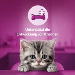 Whiskas Snacks Milch-Kätzchen 8x55g -Zoofachgeschäft d40f803902d594769f1e87f889e3ed602e69b52a 1335585 de DE Whiskas 1