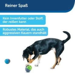 PetSafe Elektronisches Hundespielzeug Ricochet -Zoofachgeschäft d4449f153a2c132dbacdcffdb9e5bd1534d39124 1418724 de DE f83cfc689e8023f0b85b6eeadf79a2629df4d4f153I9wY