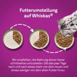 Whiskas Jumbo Pack 1+ Klassische Auswahl In Sauce 80 X 85g -Zoofachgeschäft d4a10e93e112b778db6dd9de528bb9a16bfc7dd8 1410721 de DE Whiskas 4