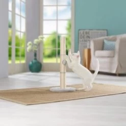 AniOne Kratzsäule Pepe&Kitty -Zoofachgeschäft d5701c6c4622e5291ba55a46423a44f2481c56c2 484c1f099650b6711f02ae3db97410a6f9af5da0