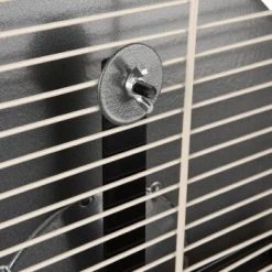 Wagner Montana Cages Metall-Laufrad Ø 38cm -Zoofachgeschäft d617bd4dfbc1724778c20b1c5755c0a1ef592d48 1484280 de DE 05a82c0dc36325300cf7e58e8159a2a6bf92c5f4CacJUu