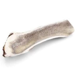 Larsson Halbiertes Geweih M Ca. 80-120g -Zoofachgeschäft d681c467faf90aaafb4106ac6ff11dfde40fa0b4 1057939 de DE 07a5583c6c0a2422d7e96e9d106fdd121d9d8ba6Brcgig