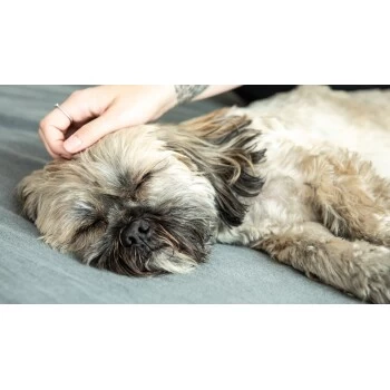 Mammaly Forever Young 110g 6 Mammaly Forever Young 110g – Bild 4