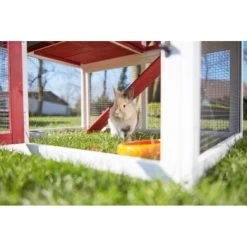 AniOne Kleintierstall Woody Ranch -Zoofachgeschäft db28ed601cc7e596f155015c17f7fdf71fd47419 1351785 de DE AniOne.10