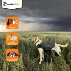 Thundershirt Beruhigungsweste Grau XS 14 Thundershirt Beruhigungsweste Grau XS -Zoofachgeschäft dba829e1909f5c4f6710e4085b27664b9bf6ac3e 1102942 2
