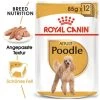 ROYAL CANIN Poodle Adult In Soße 12x85g -Zoofachgeschäft dd3d2a3937fcef6523897d2f0829a822b2d67a08 5b515c9119f1a1d4a4b01e183f307ad7d5b90feb