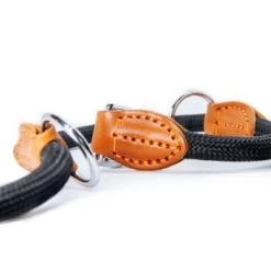 Freudentier Runde Hundeleine Aus Nylon -Zoofachgeschäft deaf7fd9dfd5f85c01722c43e79acbee20413f59 1427873 de DE 89c61e49d3202e927c29ce1b4f8483c138ef91abfaC083