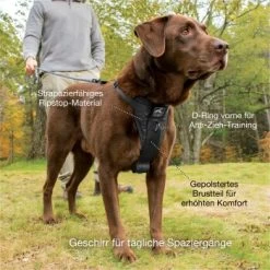 Kurgo Tru-Fit Smart Hundegeschirr XS -Zoofachgeschäft dfbefdb5cf1d59684ff67b5f978c9da5ad4d6801 1481169 de DE 388e931619b4f142b5510c311a315484232475c29AvRiq