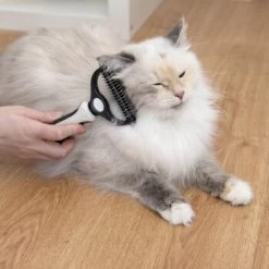 KaraLuna Unterfellbürste -Zoofachgeschäft e0e7f4b3ef49c70421b21094c2615519c93a1a3e 1407475 de DE 78030a6cd3af146aa7eb3f83fa2322b52c78816a2jpF0U