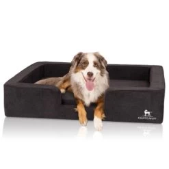 Knuffelwuff Orthopädisches Hundebett Mit Wendekissen Aus Velours Bellamy Schwarz M-L 11 Knuffelwuff Orthopädisches Hundebett Mit Wendekissen Aus Velours Bellamy Schwarz M-L -Zoofachgeschäft e3b7bc46ae320ad688559fbe65b93d653050af29 1412229 de DE a8fed7047a4b2b7c518b9afe1b1b115d3d9d2c8emVyF8X