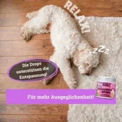 BeG Buddy Beruhigungsmittel Anti Stress 10 BeG Buddy Beruhigungsmittel Anti Stress -Zoofachgeschäft e508e321b670c48b8e0200cb260a2948b686e5df 1457250 de DE b3b765708a527c30f34f0f58c8595c44fbb0998aiAYJk8