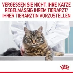 ROYAL CANIN Appetite Control Care 12 X 85 G -Zoofachgeschäft e63d52c7883522116a6a700096d14b92c2d7acf3 1344684 8