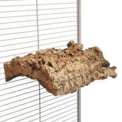 HappyBird Kork Sitzbrett XL -Zoofachgeschäft e8b2950c642c9ef016f80c28713a09942915f413 1416847 de DE 4626cf9388aa22b7467d5746315ee5f44c7b4ddbETGHf6