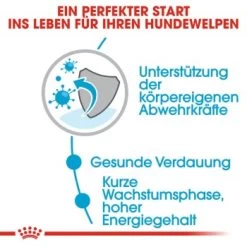 ROYAL CANIN Medium Puppy 10x140g -Zoofachgeschäft ea01834e95d5331859ec66f06e01952c0612edab 86009acb36c61560ce965056594dc109940f0dfe