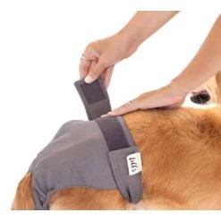 Lills Läufigkeitshöschen "Lou" Pink Berry Grau XXL 8 Lills Läufigkeitshöschen "Lou" Pink Berry Grau XXL -Zoofachgeschäft f01a93f59ae9d911037a966fca1c21c305a0b17d 1662393 de DE 280bf55fc6a4d5f5642f492f08dbc75e06b05dbaRoNfNN