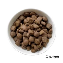 Eat Small EatSmall 2x10kg Trockenfutter Active Maxi -Zoofachgeschäft f029f79ebd1150d7eaef1707c6fefae845d8bae1 1492082 de DE 7be7b6abbd10a501ad4eda906b0ca458956766a1l3FEXb
