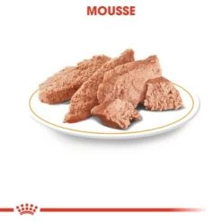ROYAL CANIN Dachshund Adult Mousse 12x85g 11 ROYAL CANIN Dachshund Adult Mousse 12x85g -Zoofachgeschäft f2e0f3f026403664cd157f737f519f5604bffd99 af119f09262176b6ceae04c01ba0afcfb98d4ee1