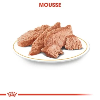 ROYAL CANIN Dachshund Adult Mousse 12x85g 6 ROYAL CANIN Dachshund Adult Mousse 12x85g – Bild 4
