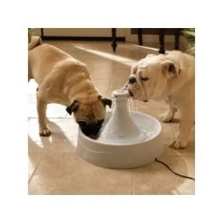 PetSafe Drinkwell Trinkbrunnen 6 PetSafe Drinkwell Trinkbrunnen -Zoofachgeschäft f2f6d432248f4e752939a8a4fca01940b105f739 f5e8306a6a621e00f5c9fa7cde2f3dce0e55980a