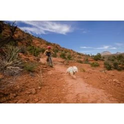 Ruffwear Swamp Cooler Zip™ Kühlweste Für Hunde Pink XL -Zoofachgeschäft f39337d577f60e5d30ba5addfb811febecbc66e7 1639652 de DE 1ff9fca93caed68be3a65cc55ad0d154f81bf268suJpN2