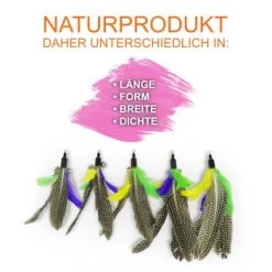 Schlitzohr Katzenangel Federanhänger 5x -Zoofachgeschäft f6a96b93601c3b2f6f7420ade3ecfe56542cca74 1484675 de DE b1d2fd29ad67016b9a6af908251d348edfa467f2BG8aWR